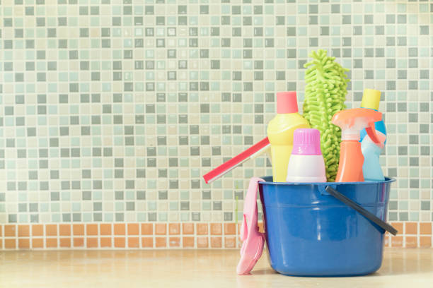 prodotto per la pulizia della casa nella cucina - scrub brush immagine foto e immagini stock