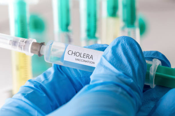 콜레라 예방 접종 - cholera bacterium 뉴스 사진 이미지