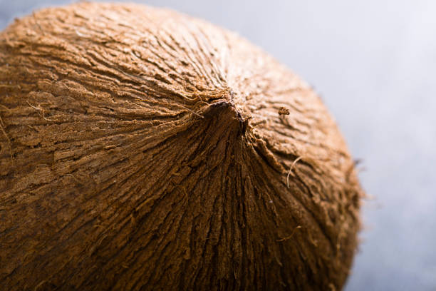 Coconut