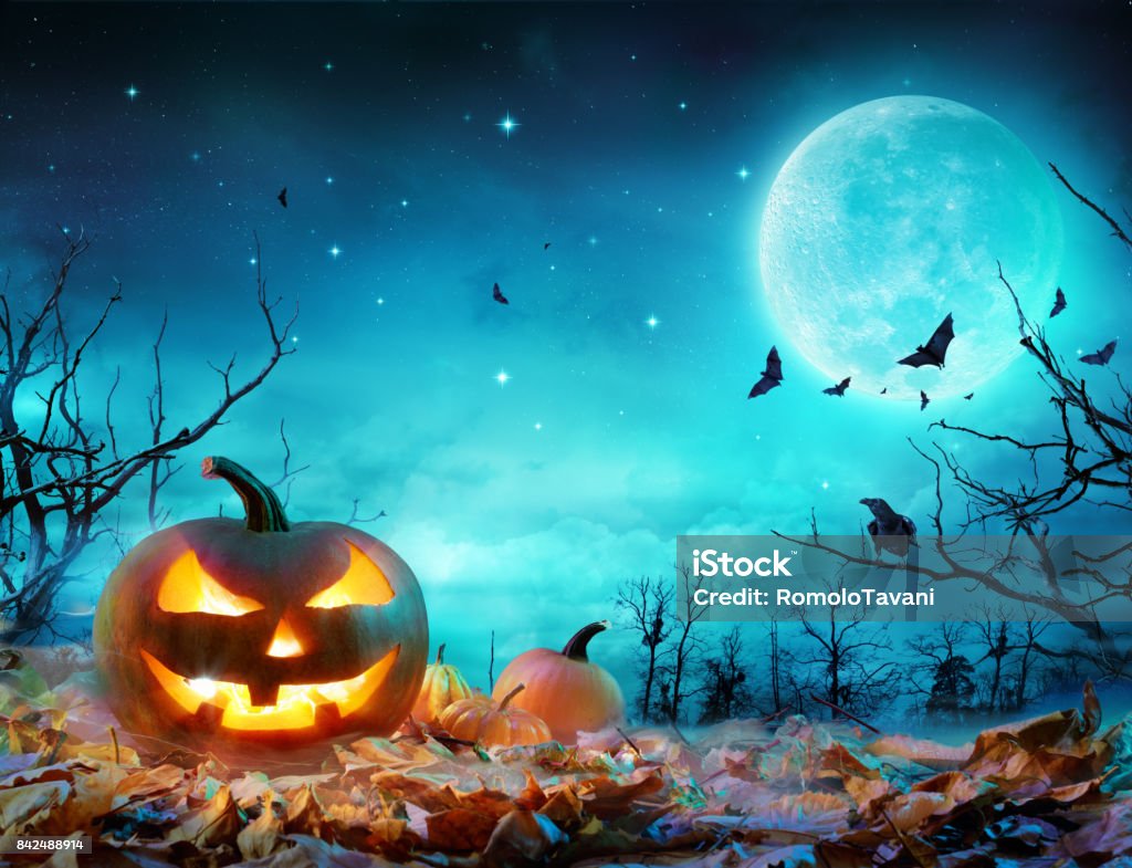 Pumpkin Glowing At Moonlight In The Spooky Forest - Halloween Scene Jack O’ Lanterns Glowing At Moonlight In The Spooky Night Halloween Stock Photo