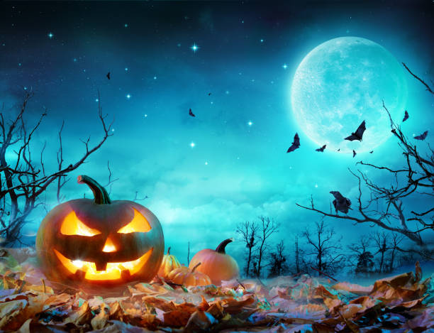 Pumpkin Glowing At Moonlight In The Spooky Forest - Halloween Scene Jack O’ Lanterns Glowing At Moonlight In The Spooky Night halloween pumpkin scary stock pictures, royalty-free photos & images