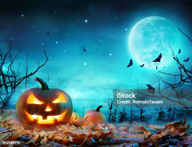 Pumpkin Glowing At Moonlight In The Spooky Forest Halloween Scene Stock Photo - Download Image Now