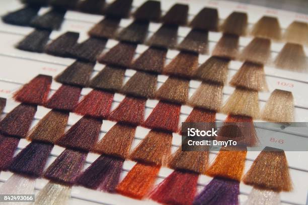 Palette Of Various Patterns Of Colored Hair Stock Photo - Download Image Now - Hair Dye, Hair, Colors