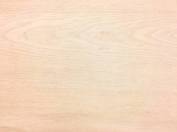 istock Light wood texture background surface with old natural pattern or old wood texture table top view. Grunge surface with wood texture background. Vintage timber texture background.Rustic table top view. 842494124