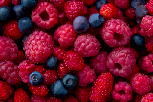 Closeup photo of freshly picked berries. On the photo there are a mix of berries: blueberry, wild strawberry and raspberry. Red, blue and purple colors. Sweden.
