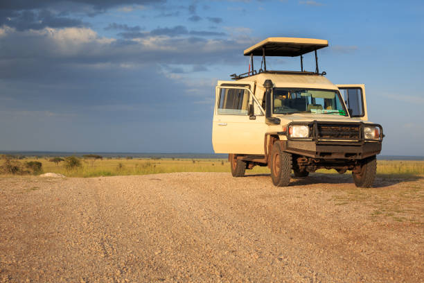 istock Safari, Tanzania 842513656