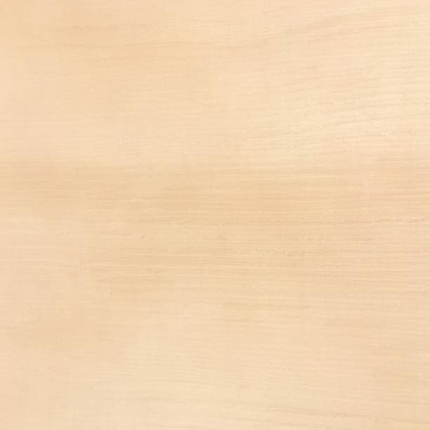 istock Light wood texture background surface with old natural pattern or old wood texture table top view. Grunge surface with wood texture background. Vintage timber texture background.Rustic table top view. 842570070