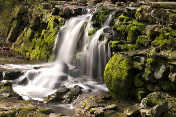 istock Veils of water 842590058