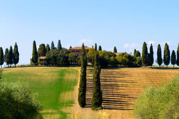 istock Tuscany hills landscape, Italy 842595382