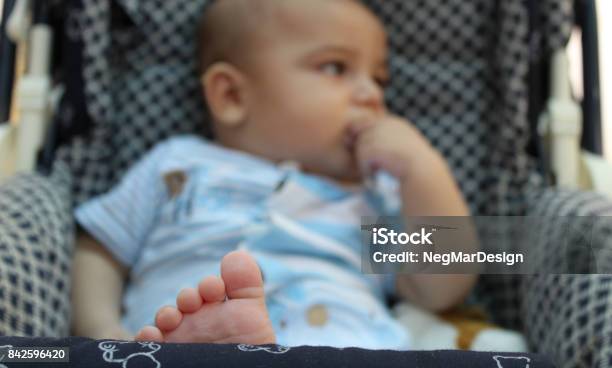 Baby Boy In Pushchair Stock Photo - Download Image Now - Baby - Human Age, Baby Boys, Beauty