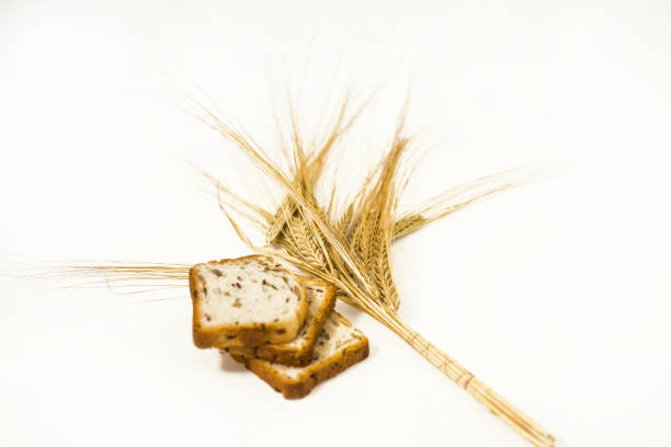 Freshly baked traditional bread with ears of wheat. Isolated on white background