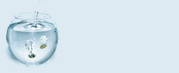 istock Euro coins in aquarium with water. 842599418