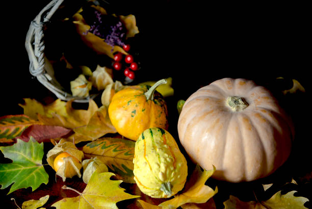 istock Autumn pumpkins and dried leaves 842599766