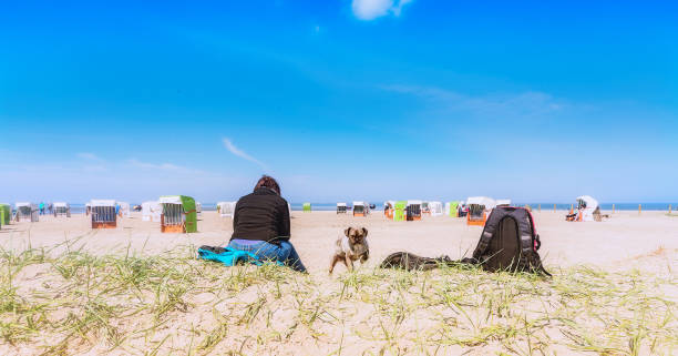 istock Woman with dog and backpack on a dog beach 842603434