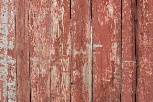 istock Wooden texture with scratches and cracks 842610352