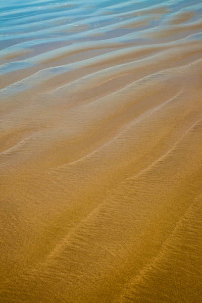 istock Closeup details of a beach with reflecting blue sky 842610364