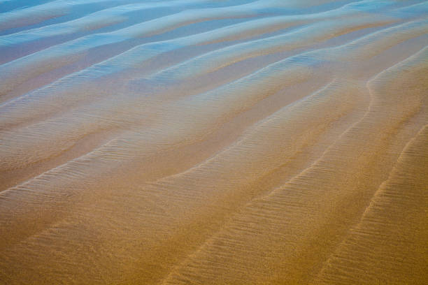 istock Closeup details of a beach with reflecting blue sky 842612440
