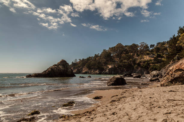 Muir Beach, California