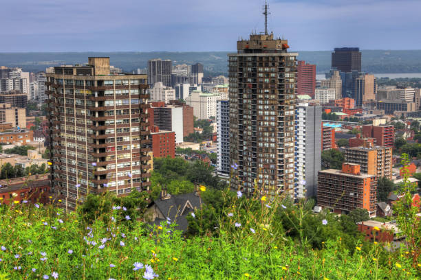 Hamilton, Canada skyline with wildflowers in foreground
