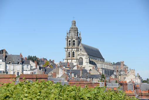 View to the Town Carcassone France over the wineyards