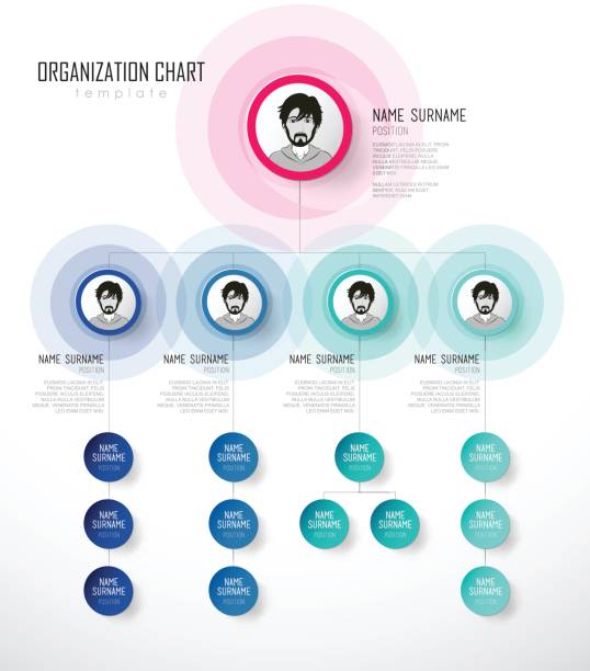 шаблон диаграммы организации с красочными кругами и местом для вашего текста. - organization diagram organization chart chart stock illustrations