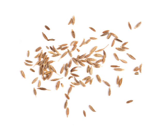 istock Cumin seeds or caraway isolated on white background 842626278
