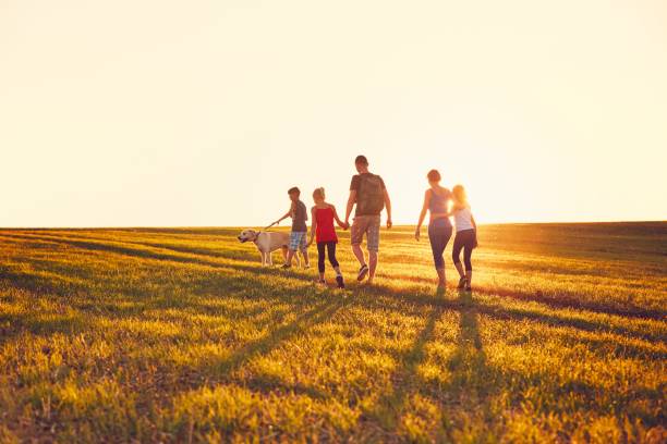 familie mit hund auf der reise - pet walking stock-fotos und bilder