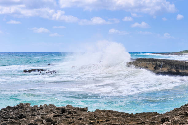 istock Beach of Cozumel 842632070