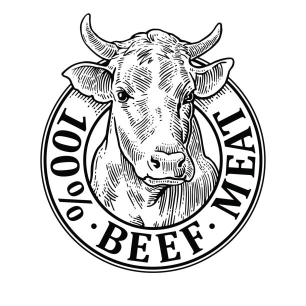 Cows head. 100 percent beef meat lettering. Hand drawn in a graphic style. Vintage black vector engraving illustration for label, poster, symboltype. Isolated on white background