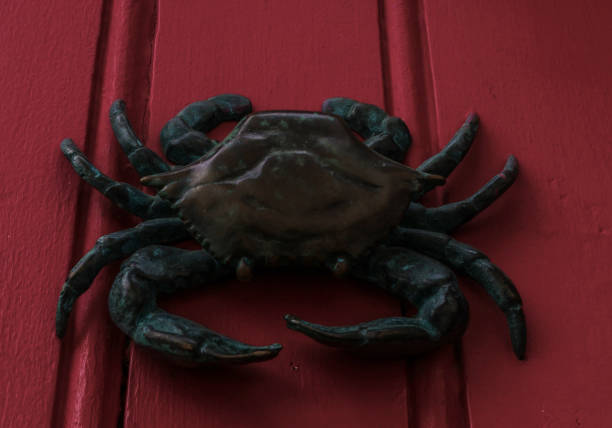 istock Brass crab knocker, knocker on red wooden door, decorative element, 842643270