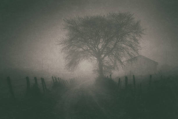 mysterious house with grungy textures