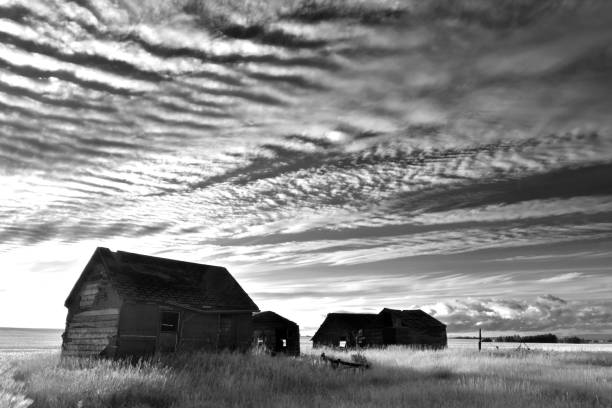 istock Old Forgotten Homestead 842653180