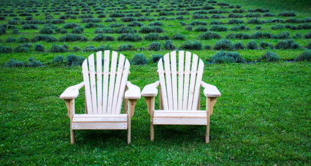 istock Two Adirondack chairs in the courtyard with a relaxing view 842656804