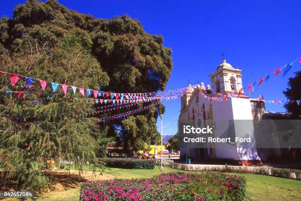 Santa Maria Del Tule The Largest Tree In The World And Cathedral With Flags On Fiesta Day Stock Photo - Download Image Now