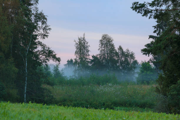 Sunrise summer morning at countryside field in Finland
