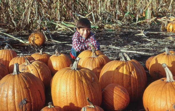 istock Young Latino Boy at Pumpkin Farm 842667542
