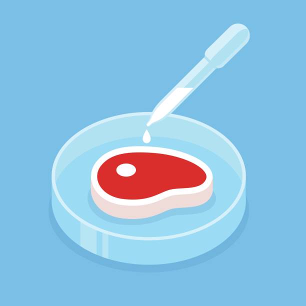 ilustrações de stock, clip art, desenhos animados e ícones de lab grown meat - frasco comida biologica
