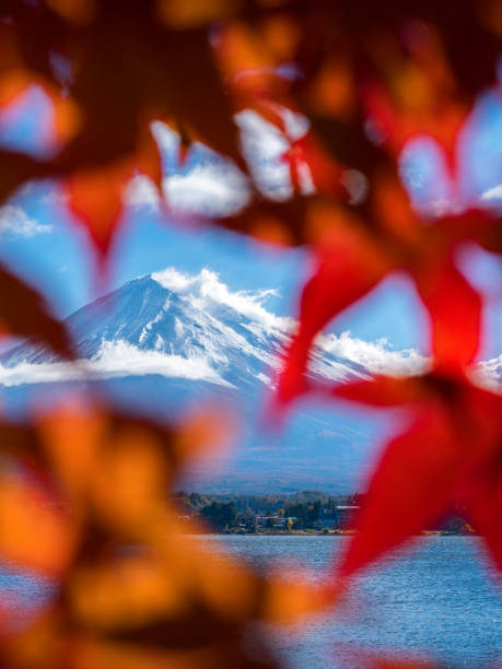 istock Mount Fuji in Autumn Color, Japan 842678982