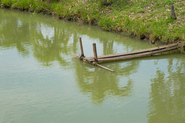 istock Wooden bridge in fish farm pool. 842679464