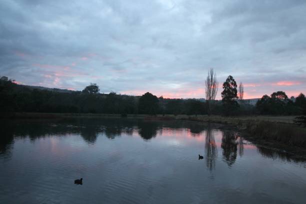 istock Waverley Lake at dawn 842684748