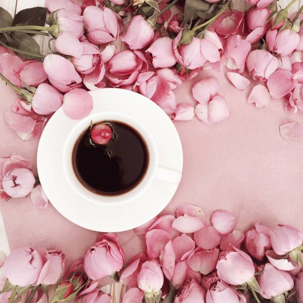 istock Pink rose flower and coffee on pastel background. Flat lay 842685216