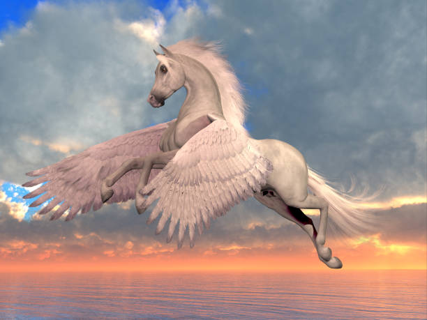 белый арабский пегас лошадь - pegasus стоковые фото и изображения