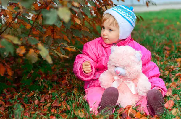 Photo of little girl plays a toy bear