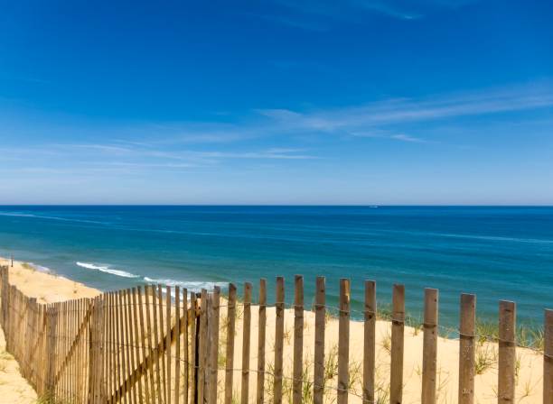 istock Weathered fence at Atlantic Ocean beach on US northeast coast 842693054