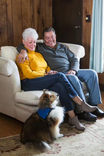 istock Senior couple on couch, next to therapy dog 842699832