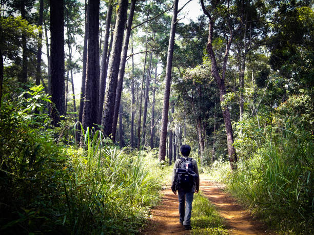 istock alone man hiking on dirt road 842704044
