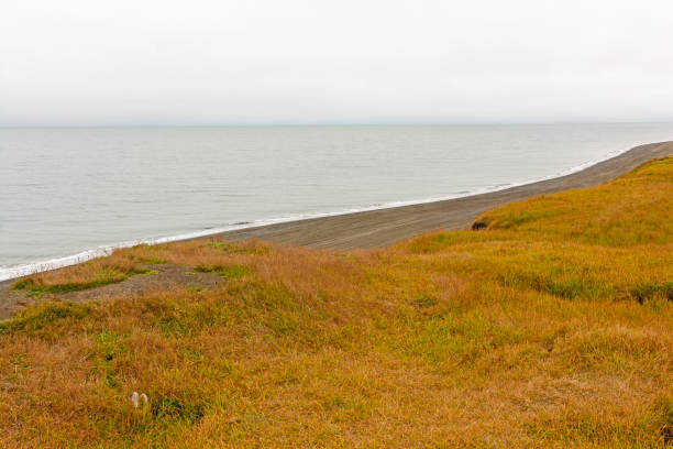 istock North Slope in the Fall along the Arctic Ocean 842707372