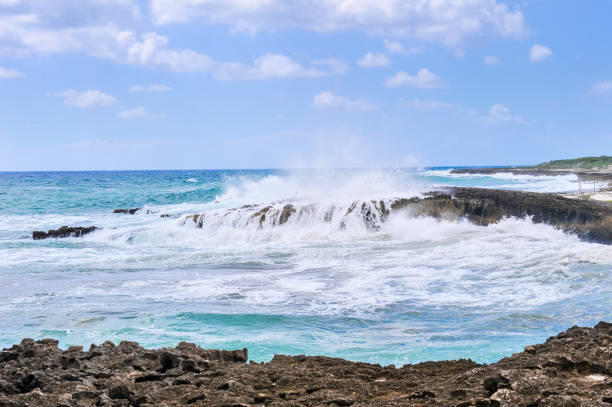 istock Beach of Cozumel 842710066
