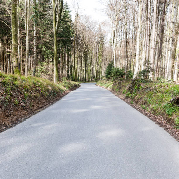 istock Forest road in Switzerland 842710776