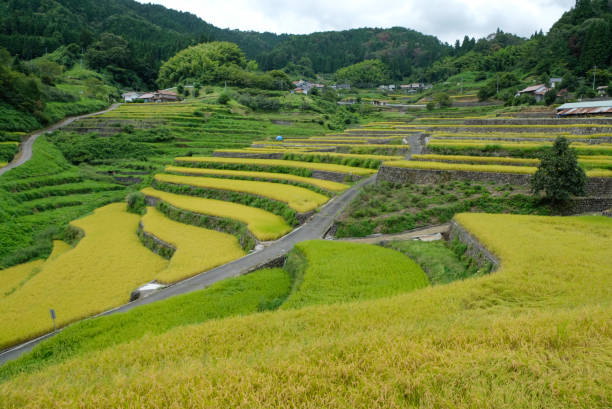istock Hiroshima prefecture's 